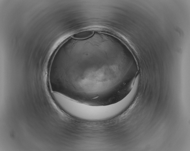 X0000114671418200911121324