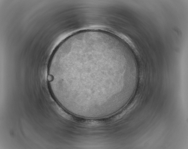 X0000114671420200911121324