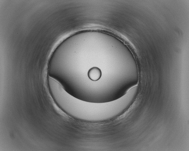 X0000114671421200911121324