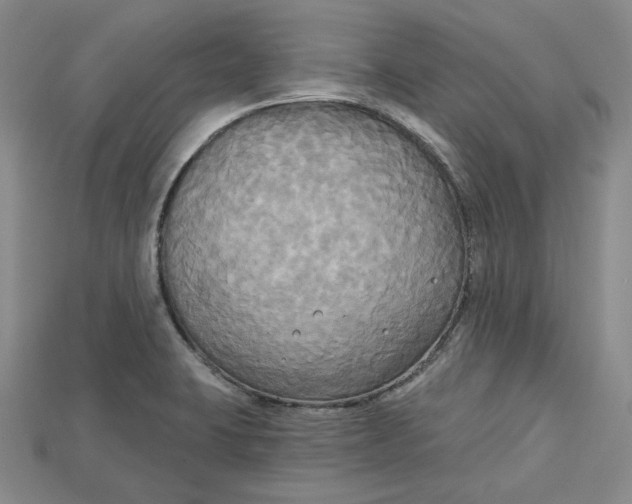 X0000114671423200911121324