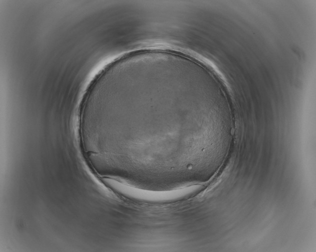 X0000114671424200911121324