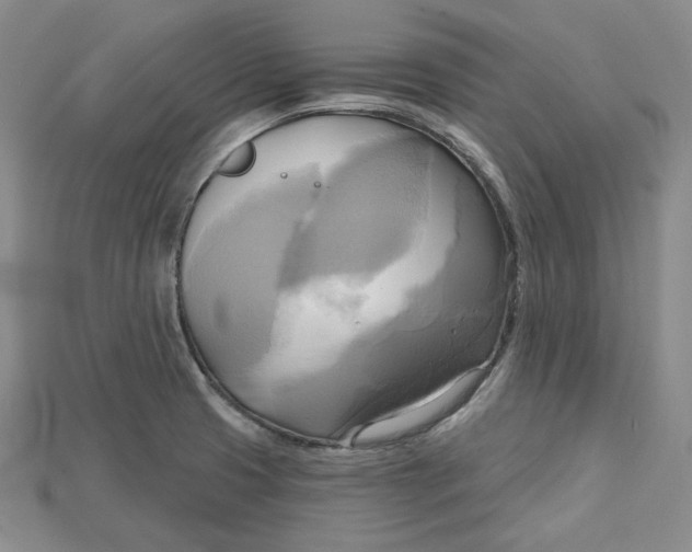 X0000114671425200911121324