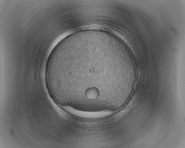 X0000114671426200911121324