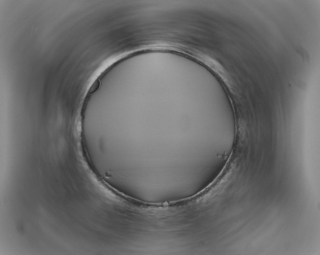 X0000114671428200911121324