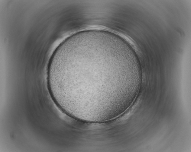 X0000114671430200911121324