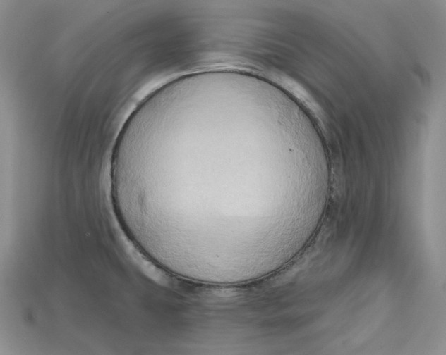 X0000114671431200911121324