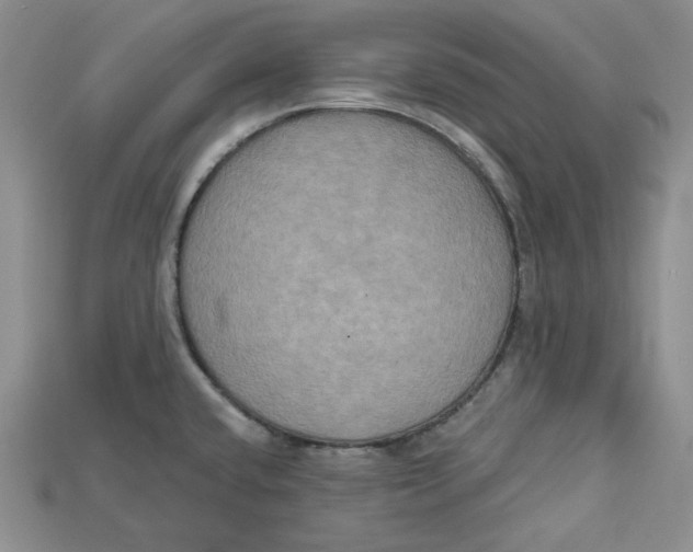 X0000114671432200911121324