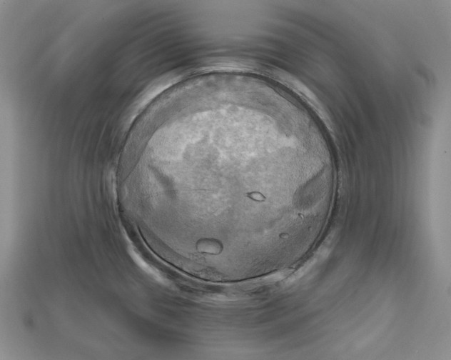 X0000114671433200911121324