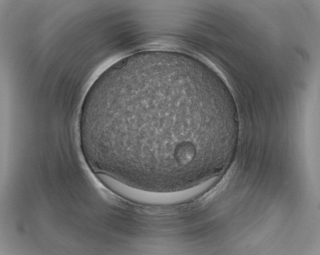 X0000114671434200911121324