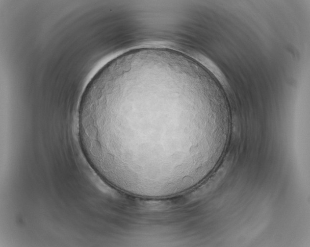 X0000114671436200911121324