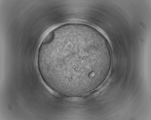 X0000114671437200911121324