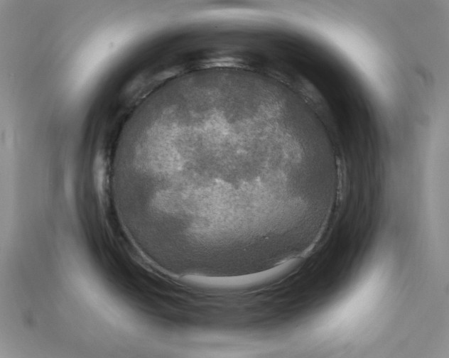 X0000114671438200911121324