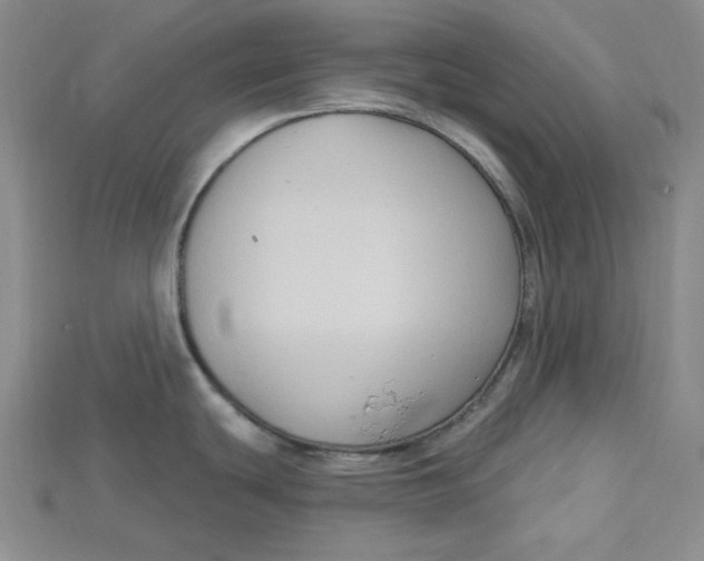 X0000114671439200911121324