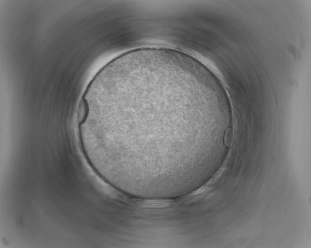 X0000114671440200911121324