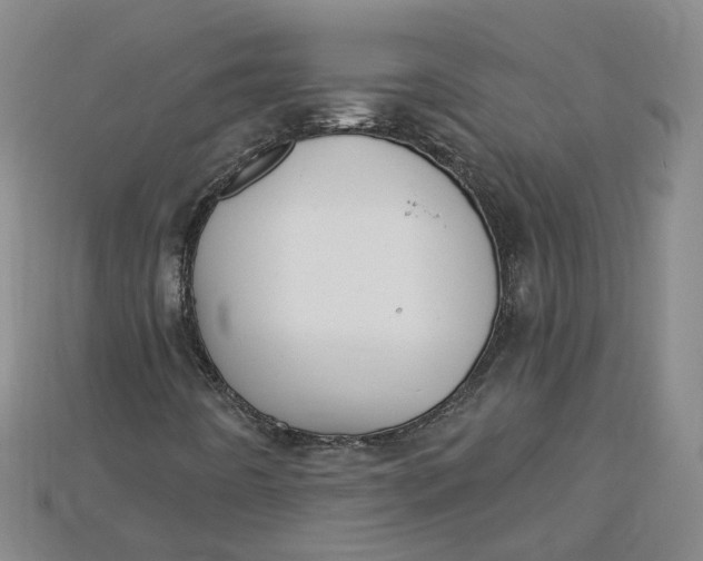 X0000114671442200911121323