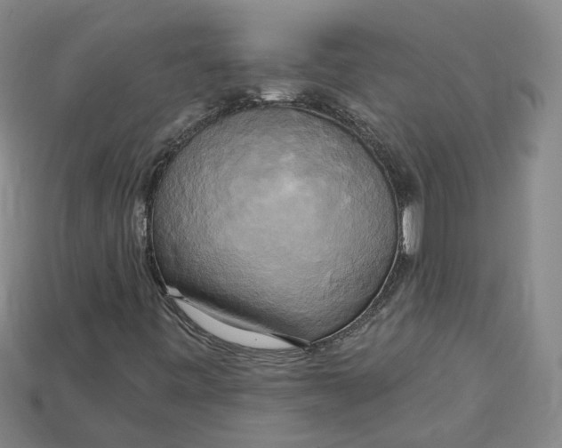 X0000114671443200911121323