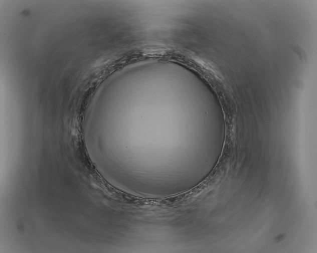 X0000114671445200911121323