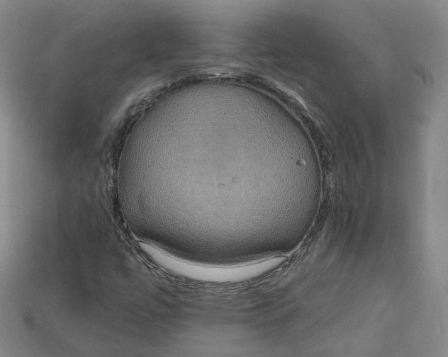 X0000114671447200911121323