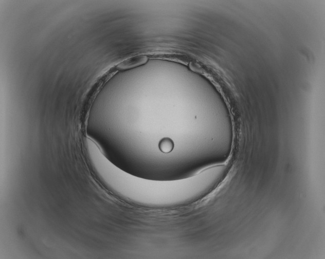 X0000114671449200911121323