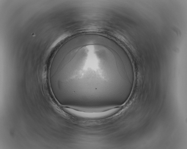 X0000114671450200911121323