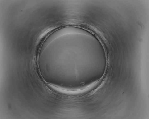 X0000114671453200911121323