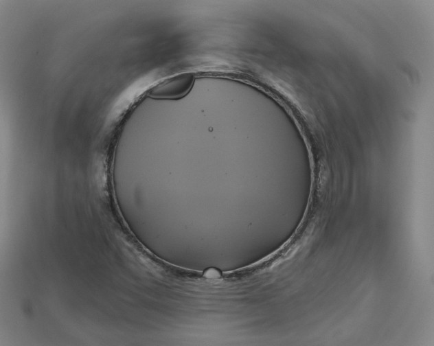 X0000114671455200911121323