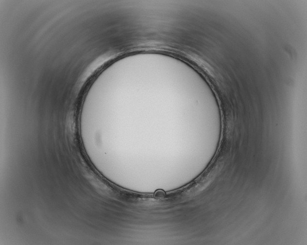 X0000114671458200911121323