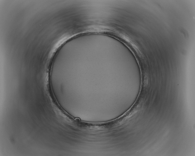 X0000114671459200911121323