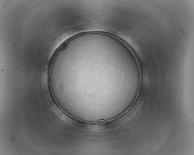 X0000114671460200911121323