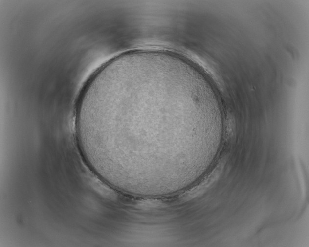 X0000114671462200911121323