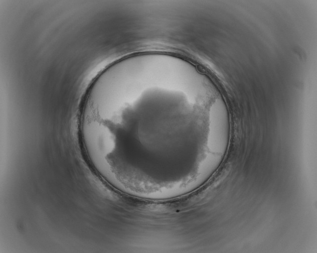 X0000114671463200911121323