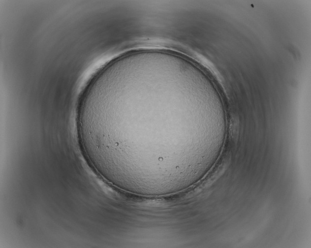 X0000114671464200911121323