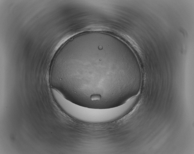 X0000114671465200911121323