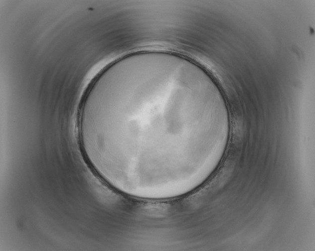 X0000114671466200911121323