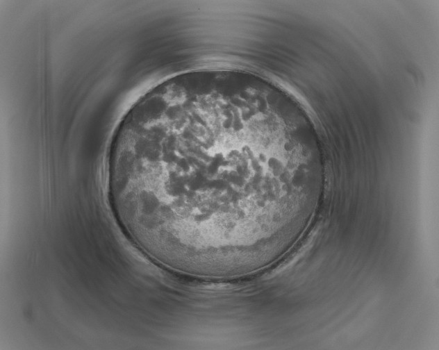 X0000114671467200911121323