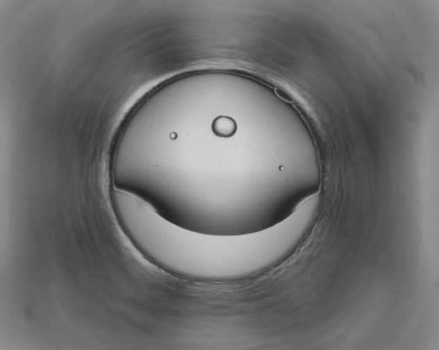 X0000114671468200911121323