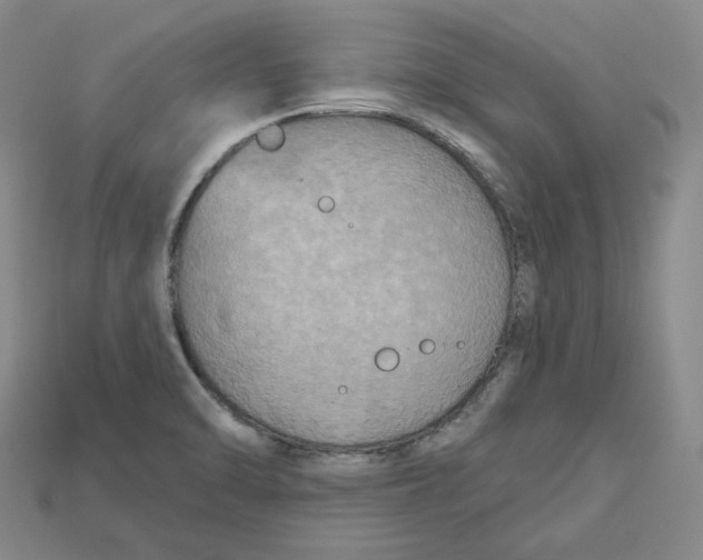 X0000114671470200911121323