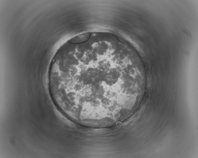 X0000114671471200911121323