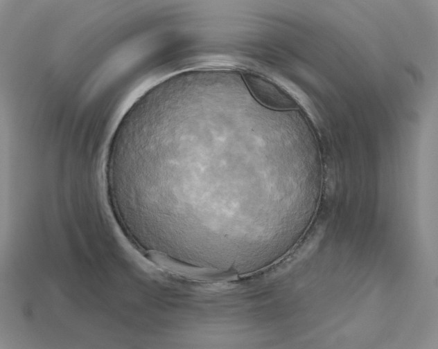 X0000114671475200911121323