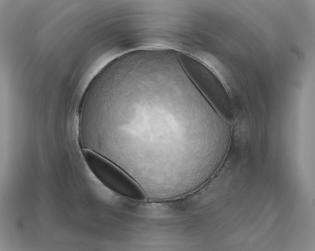 X0000114671476200911121323