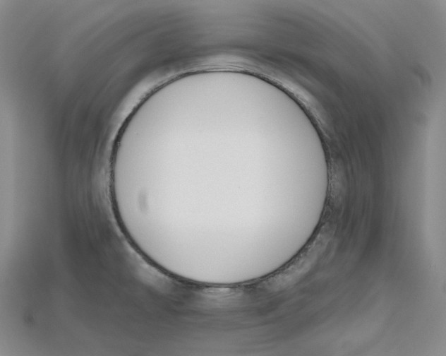 X0000114671478200911121323