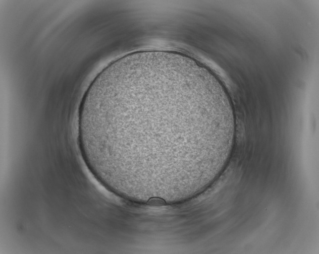 X0000114671479200911121323