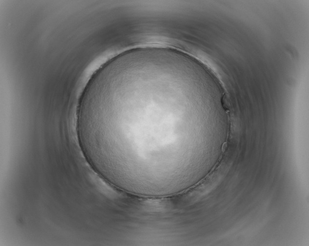 X0000114671480200911121323