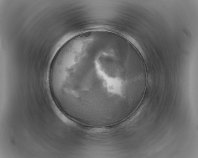 X0000114671482200911121323