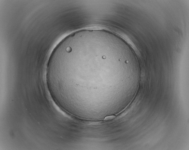 X0000114671484200911121322