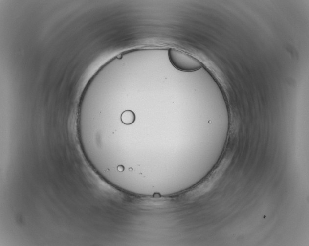 X0000114671486200911121322