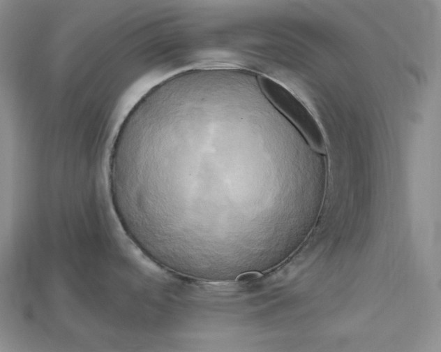 X0000114671488200911121322