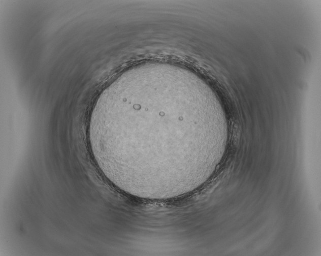 X0000114671489200911121322