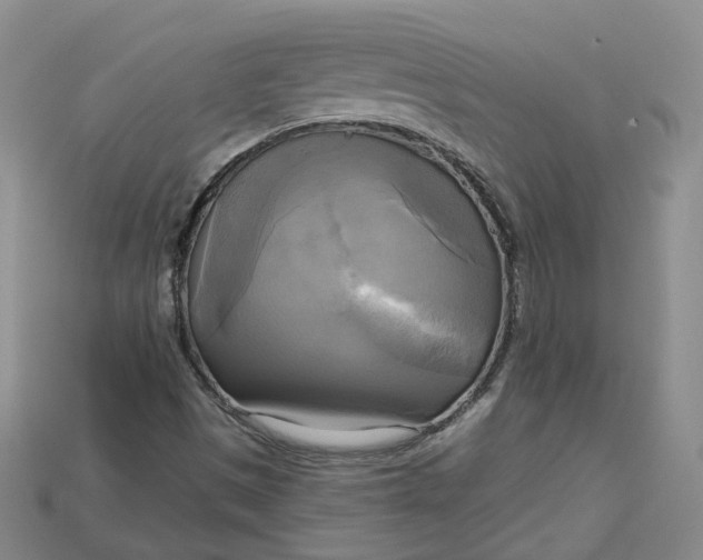 X0000114671497200911121322