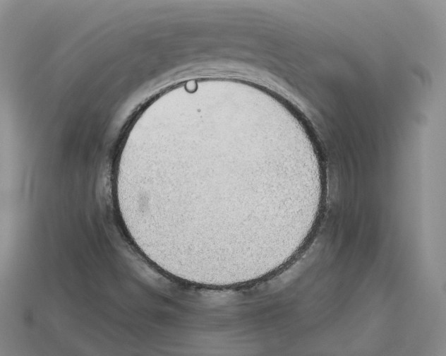 X0000114671498200911121322